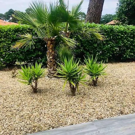 Southwest Hossegor カップブルトン